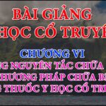 bai-giang-yhct6