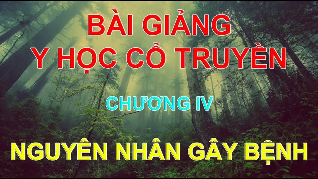 YDUOCTUETINHHANOI.EDU.VN