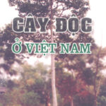 Cay doc o Viet Nam