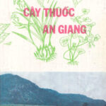 Cay thuoc An Giang