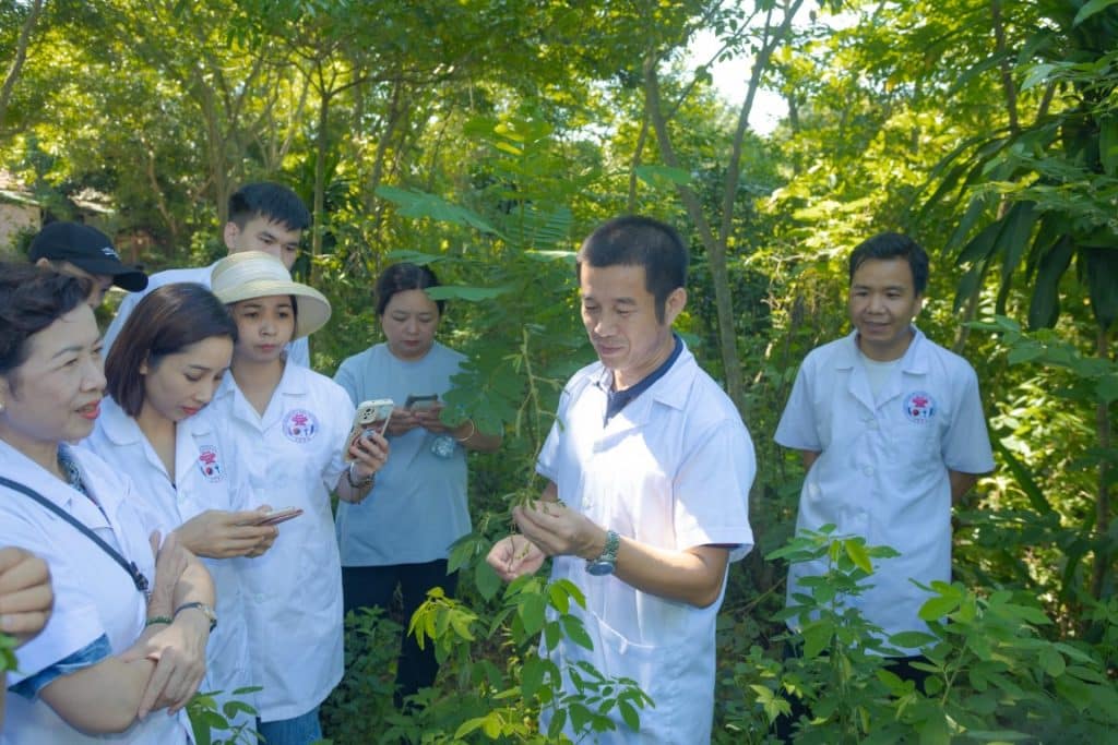 YDUOCTUETINHHANOI.EDU.VN